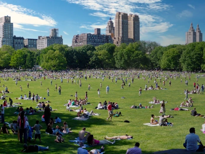 hostelben megszálló new york turisták Szabadság-szoborral piknikeznek a naplementében